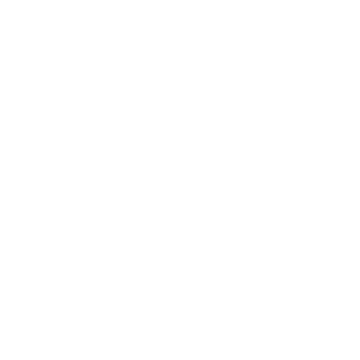 project dev white